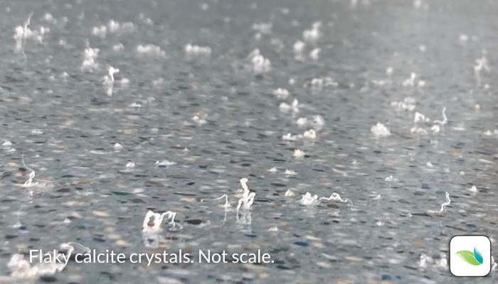 Proactive Pool Winterization: How to Prevent Calcium Crystals