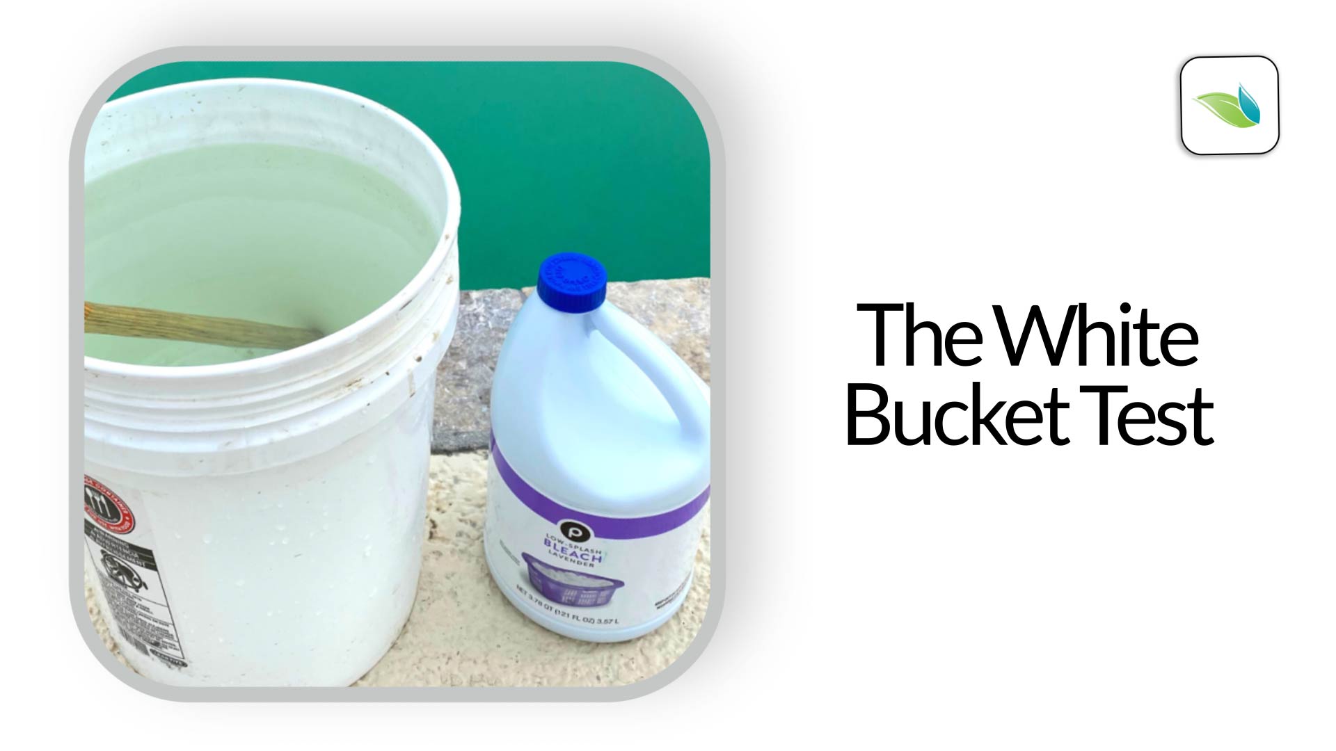 The White Bucket Test: How to Identify Green Pool Water