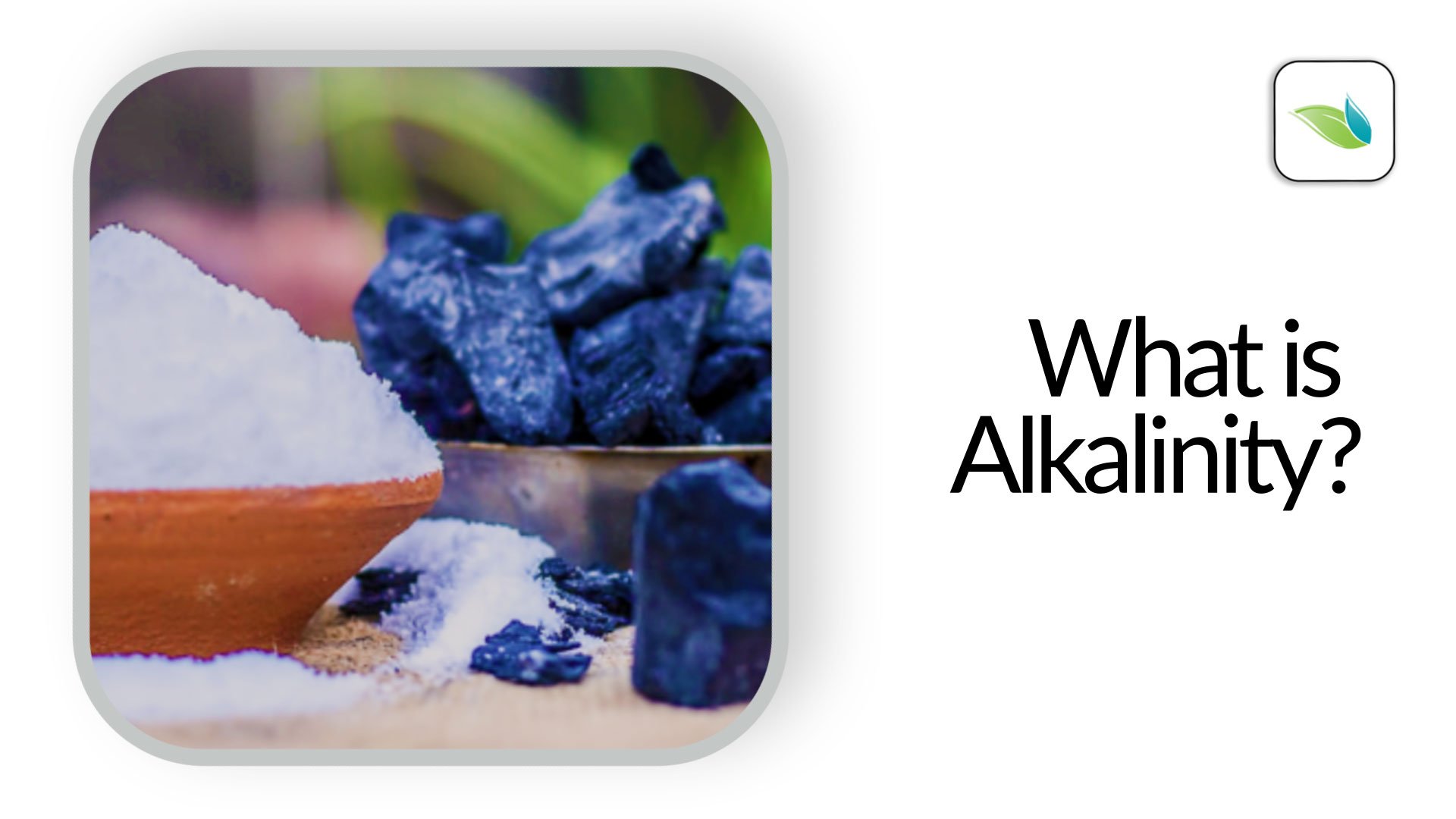 Natural Water Alkalinity: How to Measure, Test Kits, & More
